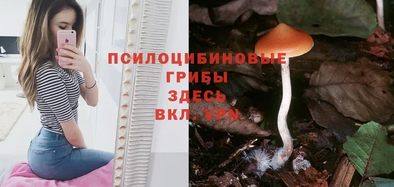 Галлюциногенные грибы MAGIC MUSHROOMS  Волгоград 